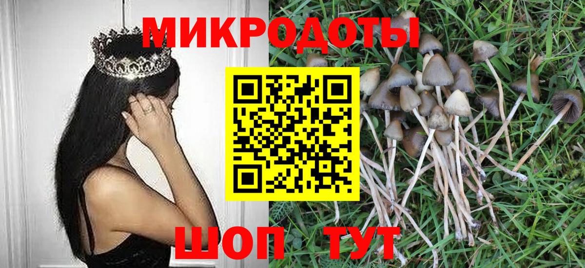 Галлюциногенные грибы прущие грибы  Вход с VPN  Белогорск 