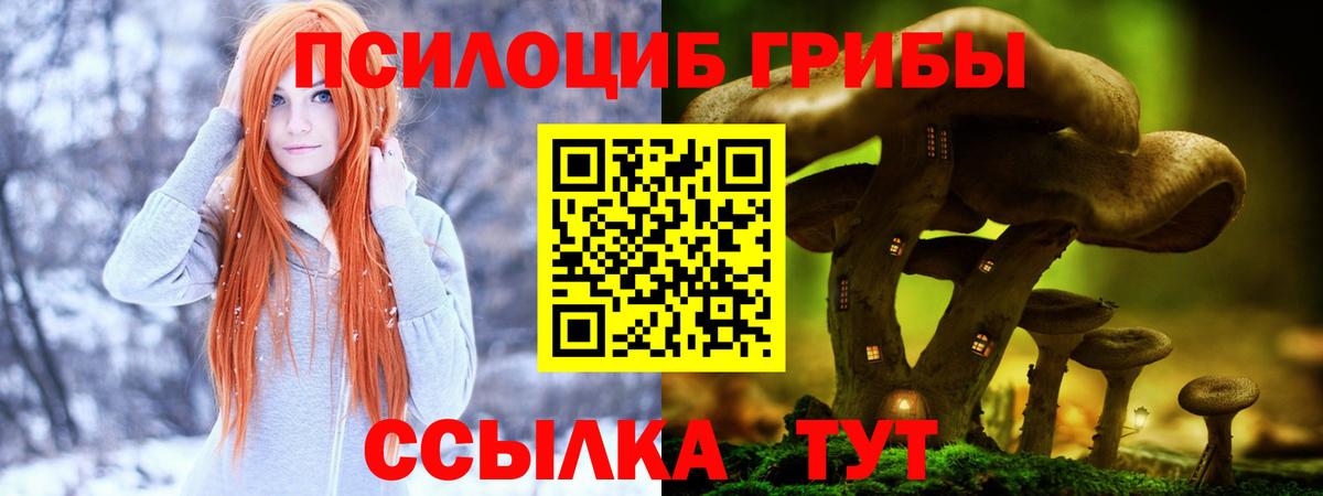 Галлюциногенные грибы прущие грибы Белогорск